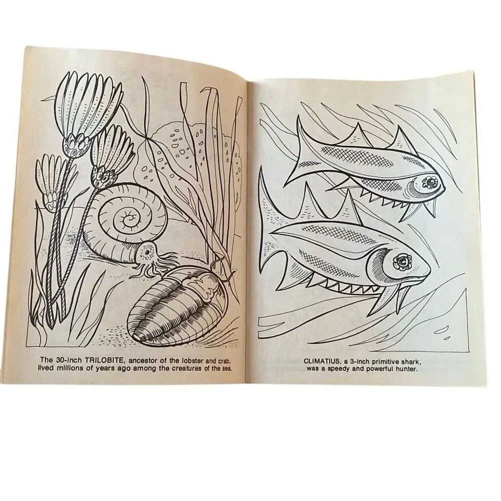 Vtg 90s Coloring Books Magazines Dinosaurs Atlas Editions Playmore Waldman NEW